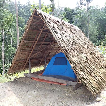 Tentstar Eco Resort San Vicente  Kültér fotó